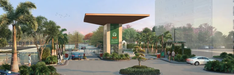 M2k Olive Green Floors