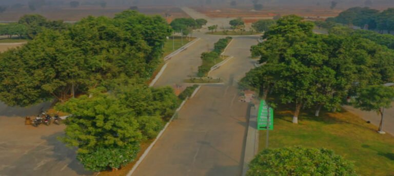 Prominent Swastik Greens